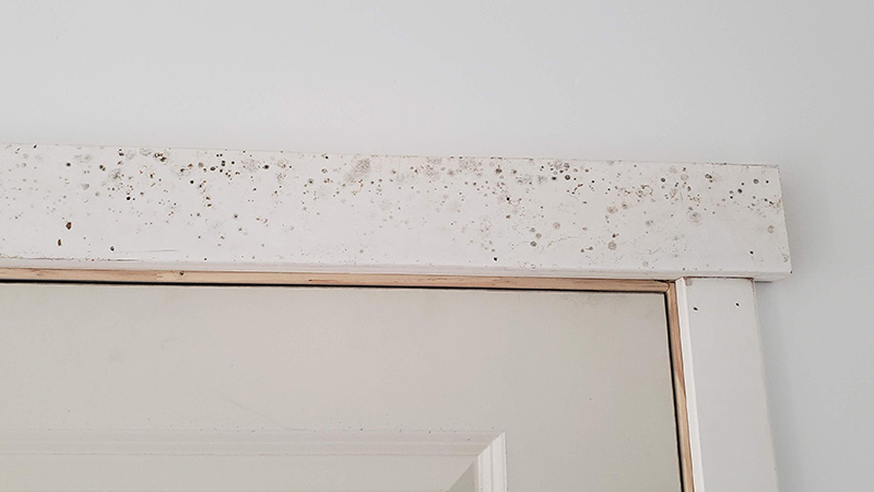 mold on trim around utility closet